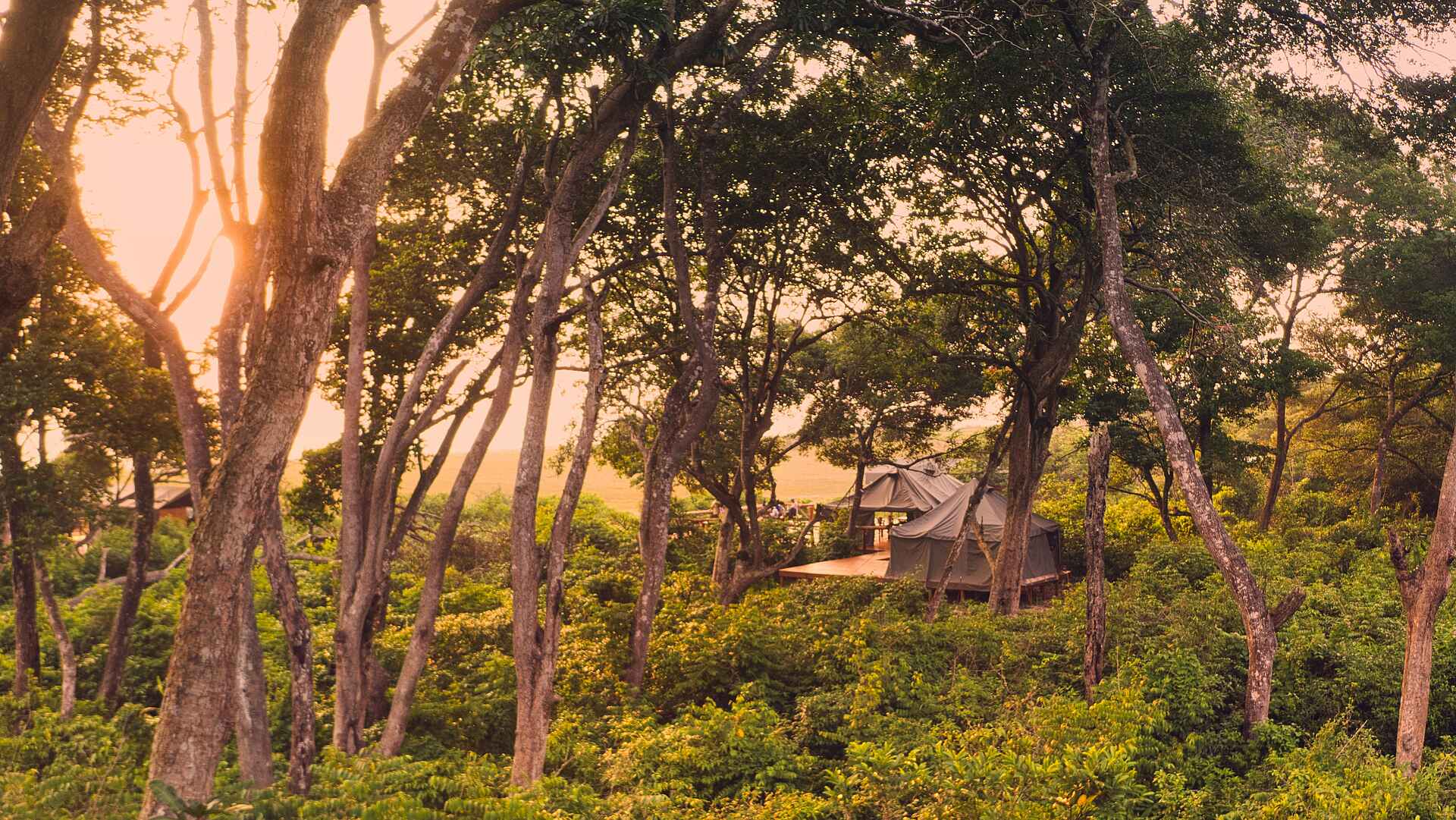 Nyanga Lodge: Ansicht