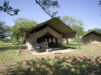 Ronjo Camp: Zwei Gästezelte