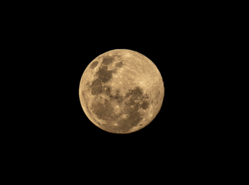 Wilderness Magashi Peninsula: Ein Vollmond