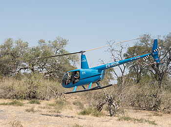 Linyanti Ebony: Hubschrauber-Landschaftsflug Linyanti Ebony: Hubschrauber-Landschaftsflug