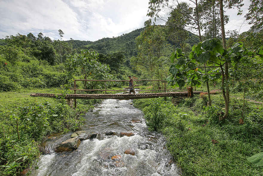 Mahogany Springs Safari Lodge: Brücke über den Munyaga Mahogany Springs Safari Lodge: Brücke über den Munyaga