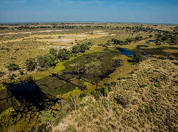 Selinda Camp: Landschaft