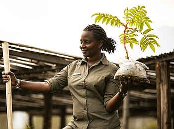Singita Kwitonda Lodge: Akarabo Nursery Singita Kwitonda Lodge: Akarabo Nursery