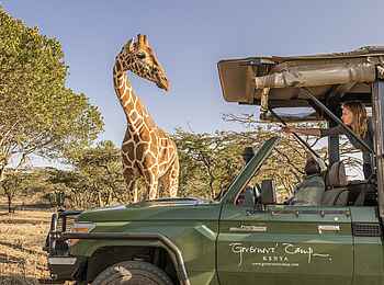 Governors' Mugie: Auf Pirschfahrt Governors' Mugie: Auf Pirschfahrt