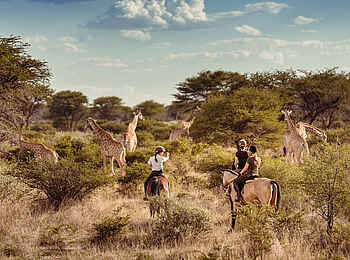 Kambaku Safari Lodge: Giraffen auf Reitsafari beobachten