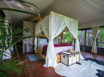 Khwai Expeditions Camp: Gästezelt mit Doppelzimmer Khwai Expeditions Camp: Gästezelt mit Doppelzimmer