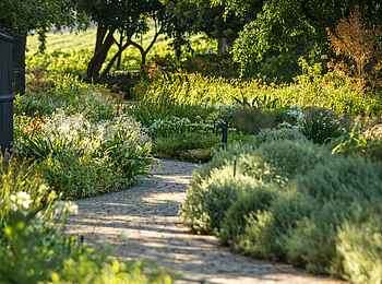 Leeu Estates: River Walk