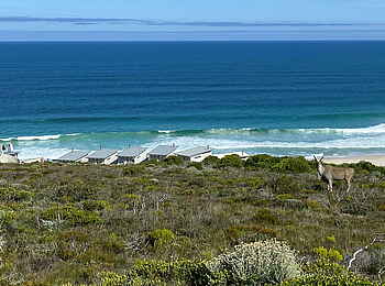 Lekkerwater Beach Lodge: Blick auf die Lodge Lekkerwater Beach Lodge: Blick auf die Lodge
