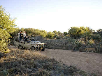 Okonjima Plains Camp: Okonjima-Safari Okonjima Plains Camp: Okonjima-Safari