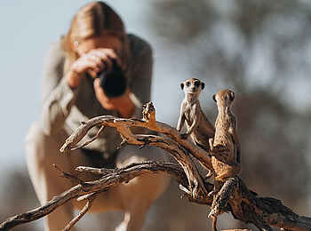 Otjimbondona Kalahari Lodge: Erdmännchen als perfektes Fotomotiv
