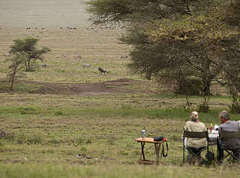 Wayo Nabi Green Camp: Tiersichtung im Camp Wayo Nabi Green Camp: Tiersichtung im Camp