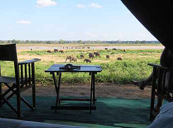 Chilo Mahove Tented Camp: Elefanten vor dem Camp Chilo Mahove Tented Camp: Elefanten vor dem Camp