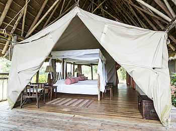 Mihingo Lodge: Gästezelt von Deck aus Mihingo Lodge: Gästezelt von Deck aus