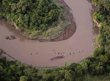 Wilderness Mara Camp: Flusspferde von oben
