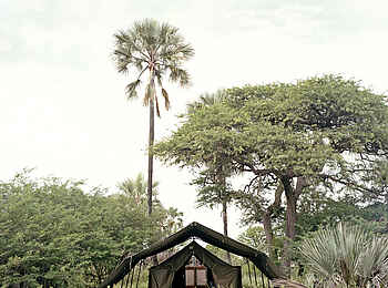 Camp Kalahari: Gästezelt