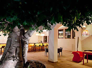 Essque Zalu: Afrikanischer Affenbrotbaum