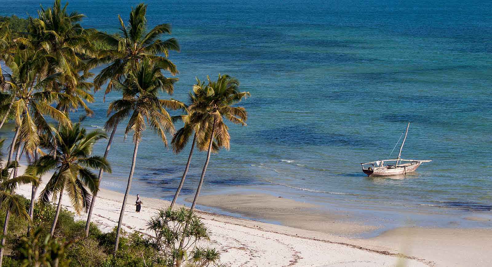 Fundu Lagoon: Strand und Palmen Fundu Lagoon: Strand und Palmen