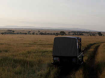 Olakira Migration Camp: Game Drive
