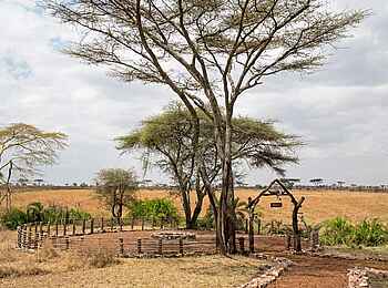 Ole Serai Luxury Camp - Turner Springs: Boma Ole Serai Luxury Camp - Turner Springs: Boma