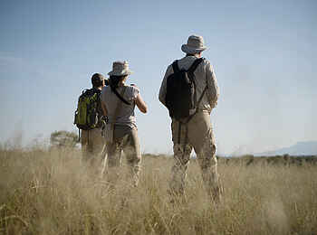 Oliver's Camp: Buschwanderung Oliver's Camp: Buschwanderung