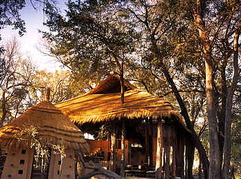 Sandibe Okavango Safari Lodge: Blick auf die Lodge Sandibe Okavango Safari Lodge: Blick auf die Lodge