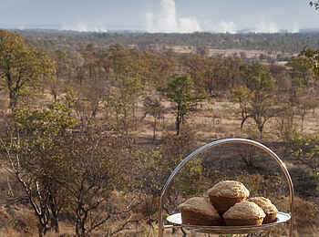 The Elephant Camp: Frühstücksetagiere