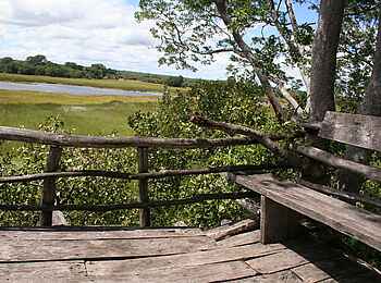 Wasa Lodge: Aussichtsplattform mit Bank