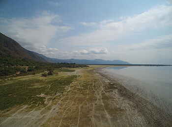 Wayo Manyara Green Camp: Savanne am Seeufer