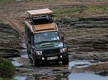 Mara Bush Camp: Auf dem Game Drive Mara Bush Camp: Auf dem Game Drive