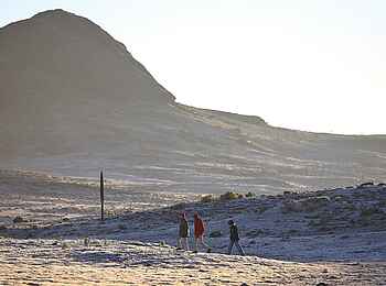 Bale Mountain Lodge: Umgebung Bale Mountain Lodge: Umgebung