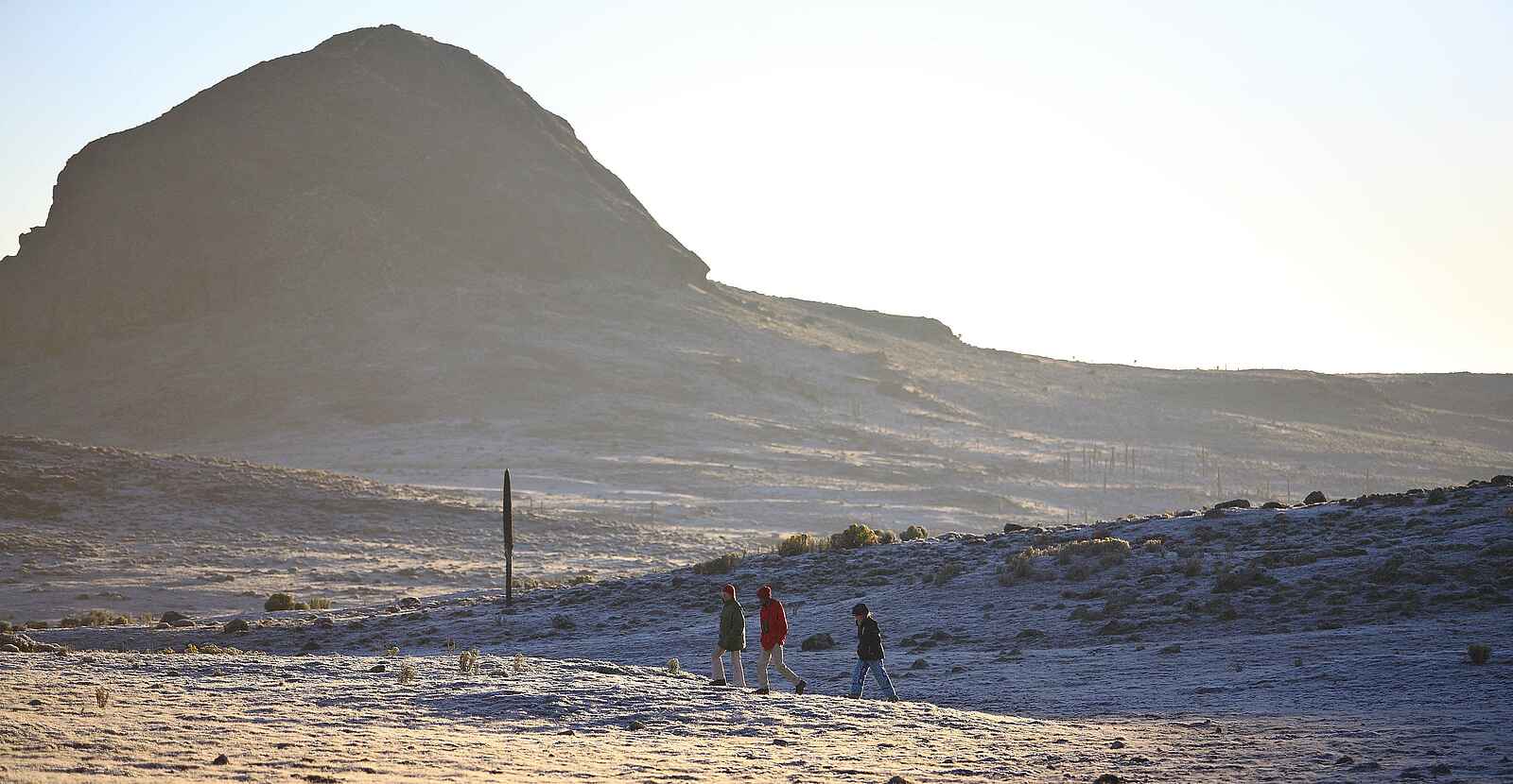 Bale Mountain Lodge: Umgebung Bale Mountain Lodge: Umgebung