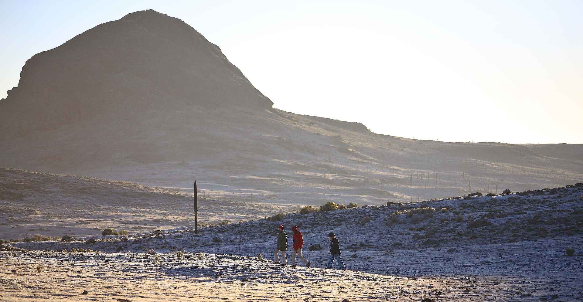 Bale Mountain Lodge: Umgebung