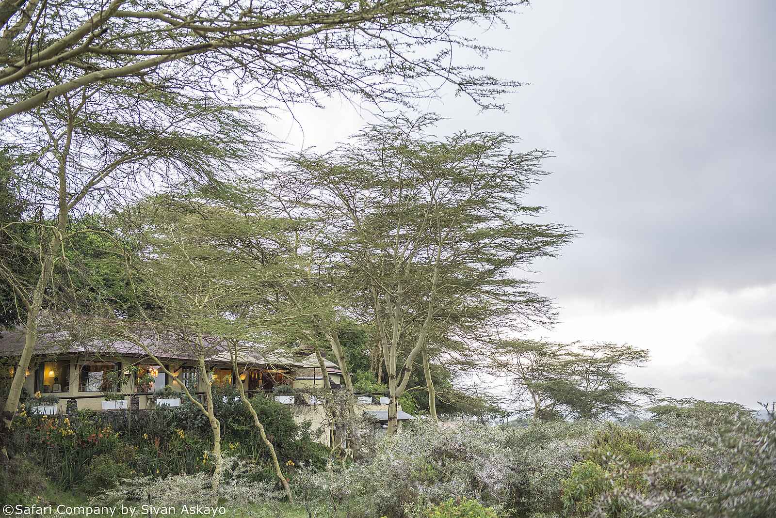 Hatari Lodge: Blick auf das Haupthaus Hatari Lodge: Blick auf das Haupthaus