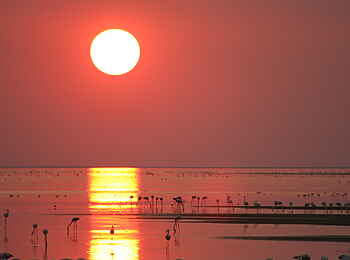 Nata Bird Sanctuary: Untergehende Sonne über den Nata-Pfannen Nata Bird Sanctuary: Untergehende Sonne über den Nata-Pfannen