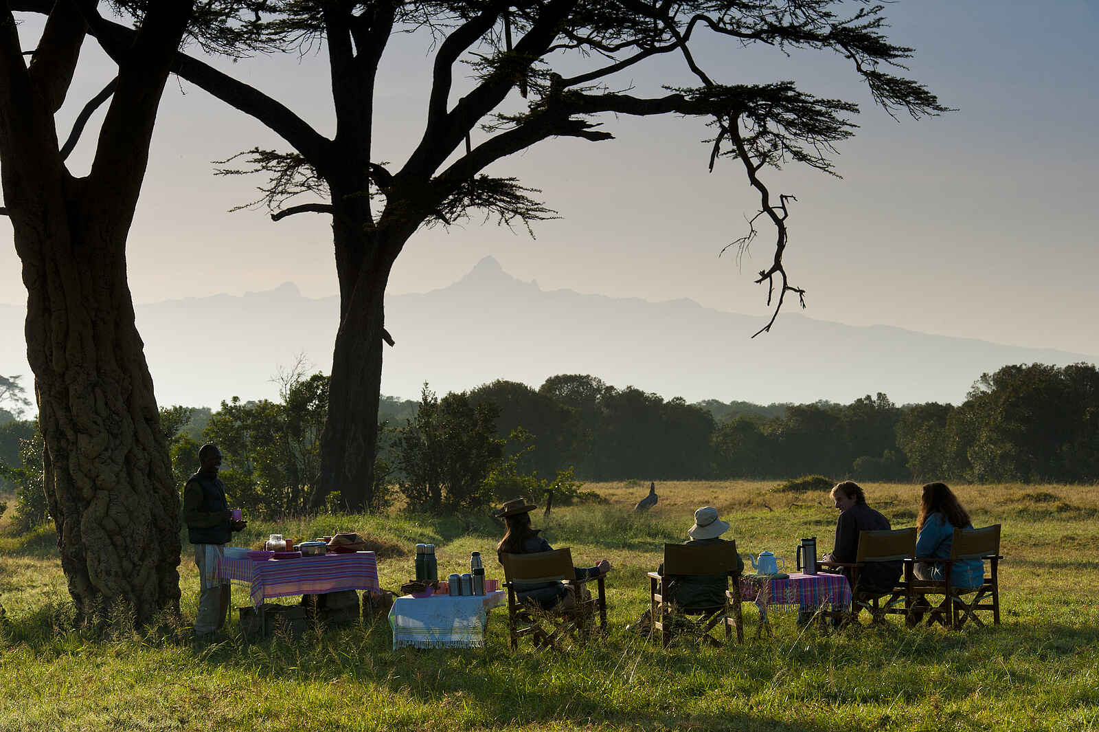 Ol Pejeta Bush Camp: Frühstück im Busch Ol Pejeta Bush Camp: Frühstück im Busch