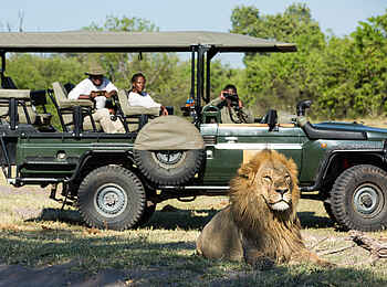 Selinda Suite: Game Drive