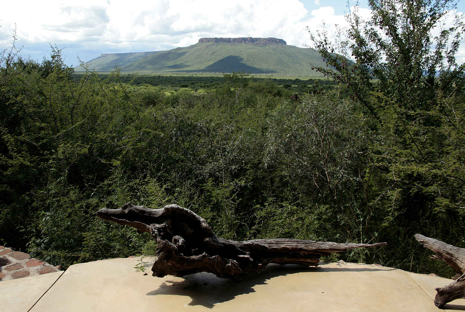 Waterberg Guest Farm: Blick auf den Waterberg Waterberg Guest Farm: Blick auf den Waterberg