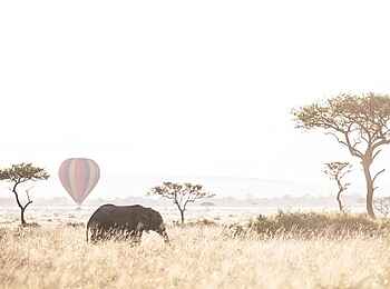 Wilderness Mara Camp: Heißluftballon