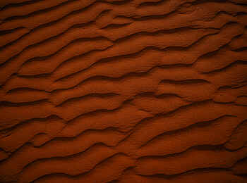 Wolwedans Desert Lodge: Landschaft Wolwedans Desert Lodge: Landschaft