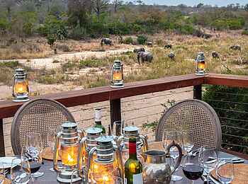 Jock Safari Lodge – Main Lodge: Dinner und Elefanten