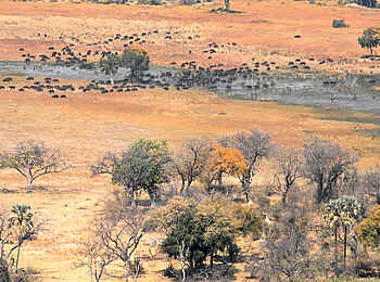 Splash Camp: Flug über den Okavango