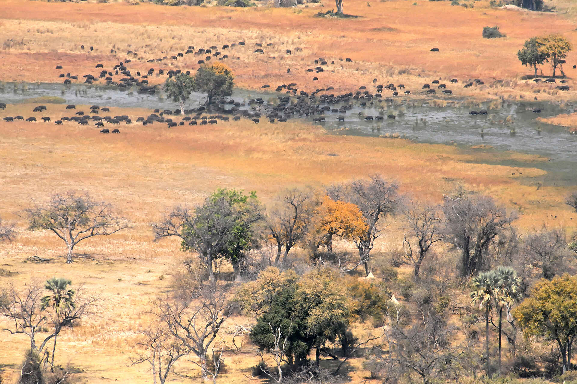 Splash Camp: Flug über den Okavango