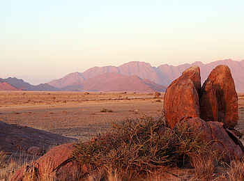 Desert Quiver Camp: Morgensonne und Antilopen