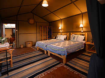Laikipia Wilderness Main Camp: Das Zweibettzimmer im Familien Zelt Laikipia Wilderness Main Camp: Das Zweibettzimmer im Familien Zelt