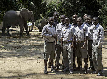 Little Ruckomechi Camp: Teamcamp