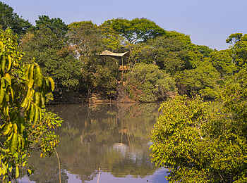 Mukambi Fig Tree Bush Camp: Auch die Gästezelte überblicken die Lagune