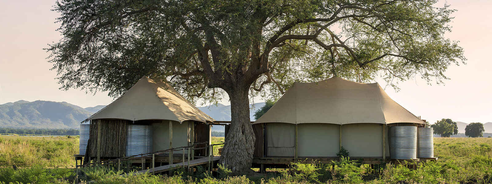 Nyamatusi Mahogany: Eines der luxuriösen Familienzelte Nyamatusi Mahogany: Eines der luxuriösen Familienzelte