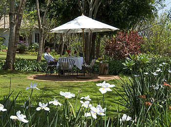 Plantation Lodge: Schatten im Garten Plantation Lodge: Schatten im Garten