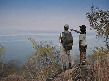 Pumulani Lodge: Nature Walk