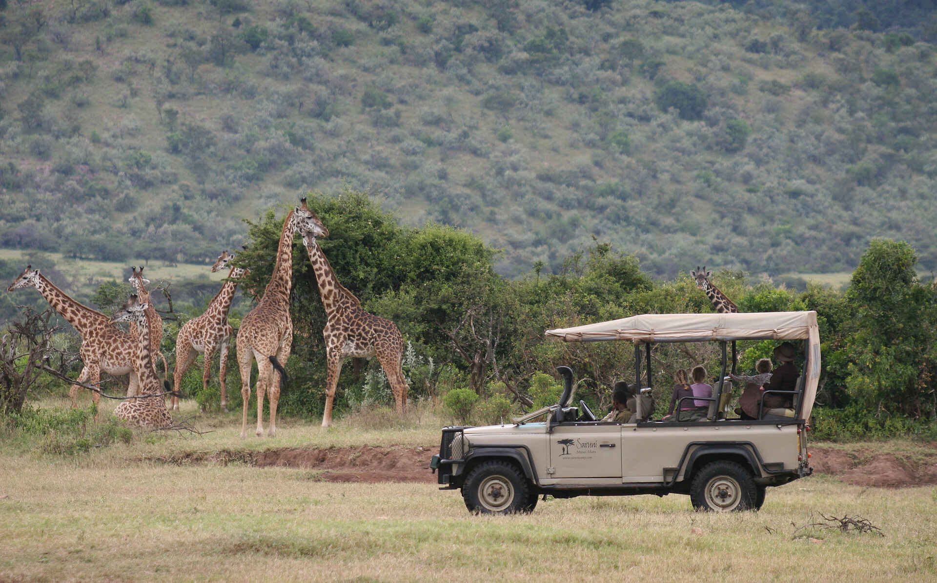 4 sterne, africa, afrika, afrikanischer wildhund, afrikarma, bilder, birding, buchen, buchung, büffel, buschwanderungen, elefant, familie, gallerie, geführte buschwanderungen, guided walks, heißluftballon, information, informerien, intim, kenia, kenya, kinder, kinderprogramm, klein, leopard, löwe, mara north conservancy, massai, mnc, nachhaltigkeit, nachtpirschfahrten, pirschfahrten, privat, privatsphäre, reise, reisen, reiseveranstalter, riccardo orizio, safari, saruni, saruni wild, saruni wild camp, selbstfahrer, urlaub, vollpension, west kenya, western kenya, westkenia, www.afrikarma.de, aktivitäten, fahrzeug, fauna, giraffe, giraffen, großwild, pflanzenfresser, pirschfahrt, säuger, säugetiere, tiere